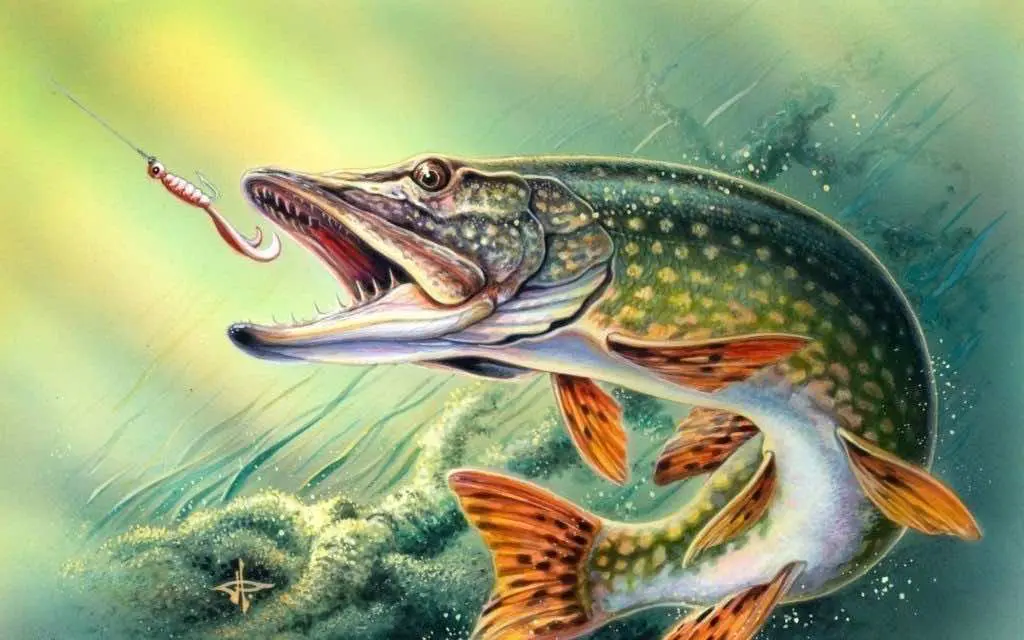 fishing