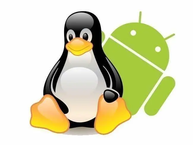 images.duckduckgo.com