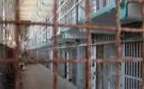 Мать и сын отправляются в тюрьму за торговлю наркотиками в даркнете