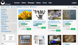 Федералы разделили украденные из Sheep Marketplace биткойны
