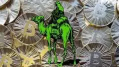 Silk Road жив? Или кто имеет доступ к адресу на 800 млн долларов, который активизировался спустя пять лет