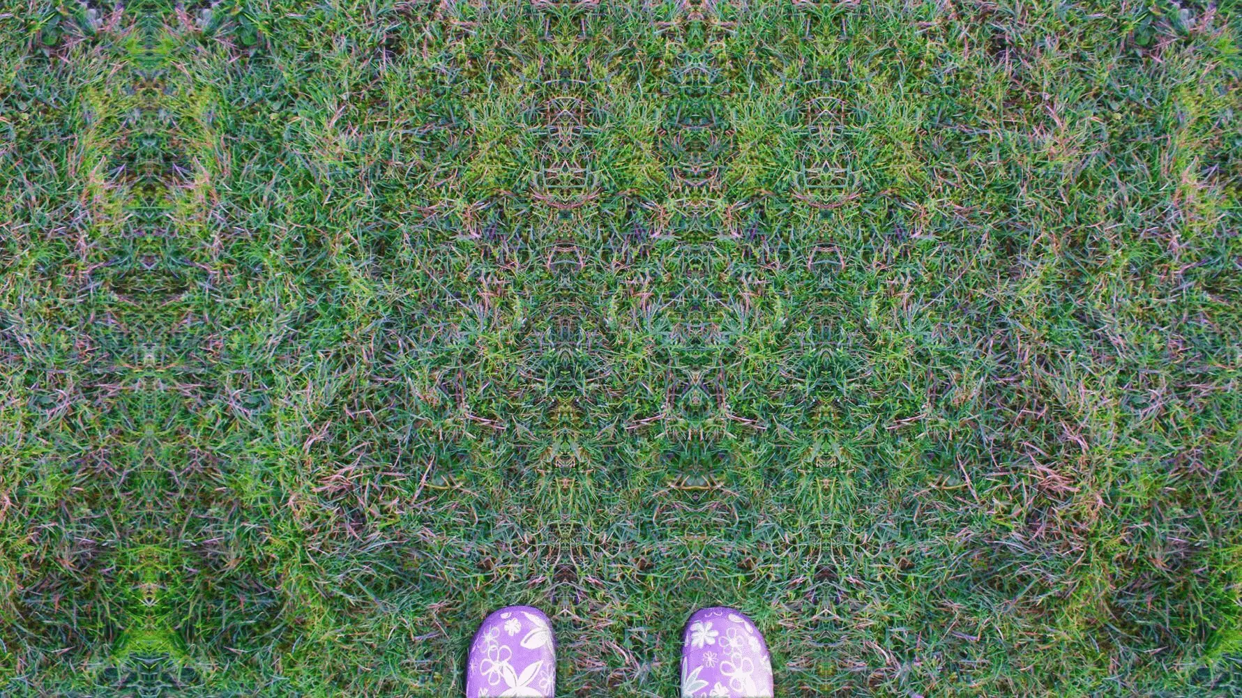 fa46d6943df8abc7a703ca4ca6b924ef.webp