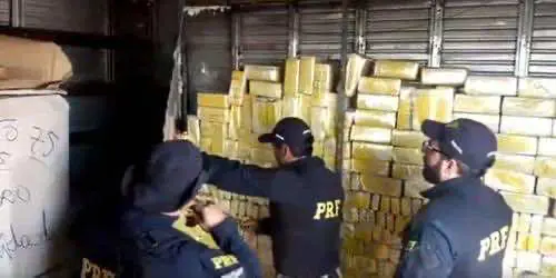 Полиция Бразилии задержала рекордную партию марихуаны из Парагвая
