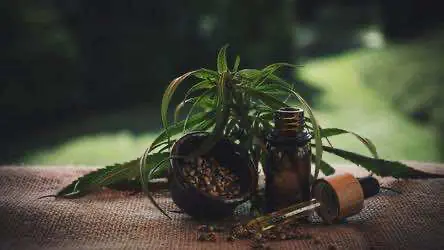 Исследование: даже в небольших дозах CBD уменьшает тревожность и депрессивные симптомы