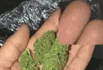 Продавец Canna_Bars получил срок