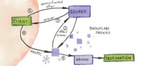 Изменения в Tor Browser 10.5: V3 и Snowflake