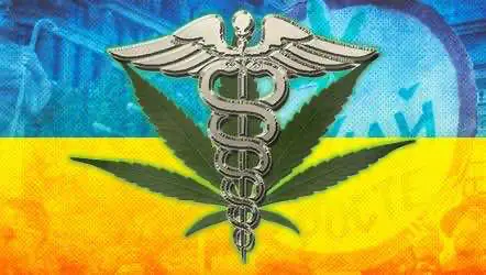 Украинские депутаты вновь рассмотрят законопроект о легализации медицинского каннабиса этой осенью