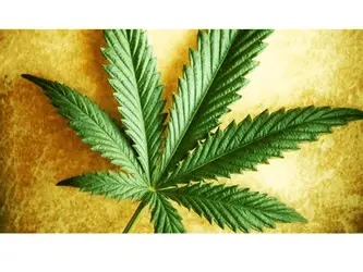 DEA удаляет Epidiolex из списка контролируемых веществ