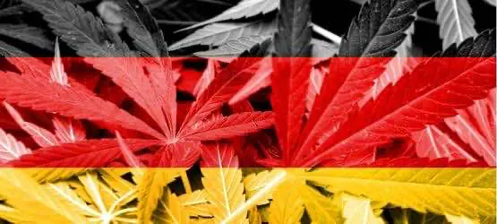 В партии Ангелы Меркель размышляют о легализации каннабиса в Германии