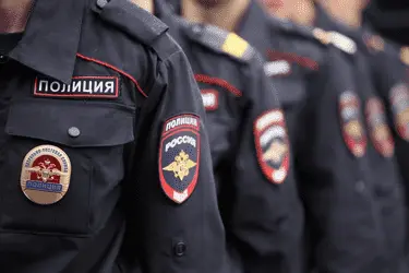 Псковские полицейские выращивали коноплю для подброса подозреваемым
