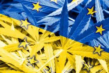 Правящая партия Украины не планирует легализовать каннабис в ближайшее время