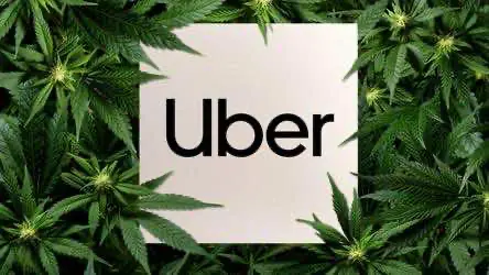 После легалайза в США Uber запустит доставку травы