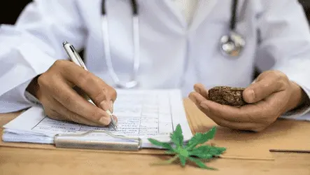 Учёные зафиксировали улучшение когнитивных функций у потребителей медицинского каннабиса