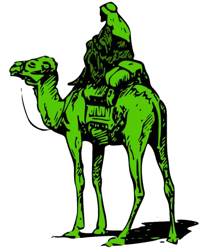 Программист Silk Road получил 8 месяцев