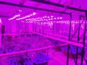 В Южной Корее поймали более 500 человек за вещества из даркнета