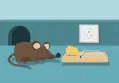 VPN over TOR и бесплатные VPN-сервисы